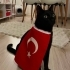 BAHATTİNE ACİL GEÇİCİ VEYA KALICI YUVA fotoğraf