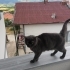 Çiftimize yuva arıyoruz fotoğraf