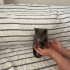 Badem sizi bekliyor fotoğraf