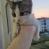 Çok Sevimli Çok Cana Yakın Sıcacık bir Kucak Açın Lütfen fotoğraf
