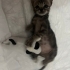 YUVA BULUNMAZSA SOKAĞA DONECEK fotoğraf