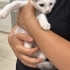 Panda bebek iç dış parazitleri yapıldı veteriner kontrolü yapıldı fotoğraf