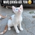 BU GÜZELLİK GERÇEK😻 AMA KİMSE İSTEMEDİ😢 fotoğraf