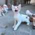 BU GÜZELLİK GERÇEK😻 AMA KİMSE İSTEMEDİ😢 fotoğraf