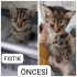 OKURMUSUNUZ HİKAYESİNİ MUCİZE PRENSESİN fotoğraf