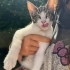 Minik kalpler dişi erkek bebekler ömürlük yuvasını arıyor fotoğraf