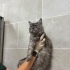 Barınağa terk edildi acil yuva arıyor fotoğraf