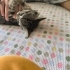 BANA YUVA OLUR MUSUNUZ? fotoğraf