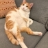 Çok tatlı bir kızz fotoğraf