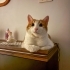 Çok tatlı bir kızz fotoğraf