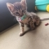 Henüz 1 aylık bile değil fotoğraf