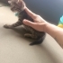 Henüz 1 aylık bile değil fotoğraf