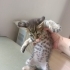 Henüz 1 aylık bile değil fotoğraf