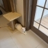 Pamuk Evinize Neşe Huzur Getirsin fotoğraf