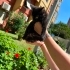 Luna iç dış parazitleri karma aşısı yapıldı fotoğraf