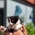 Minik kalpler dişi erkek bebekler var fotoğraf