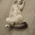 Kedi sahiplendirme fotoğraf