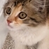 KİMİN EVİNE UĞUR GETİREYİM fotoğraf