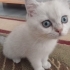 AÇIKLAMAYI OKUYUNUZ LÜTFEN fotoğraf