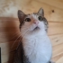 PANSİYONDA YAŞAYAN KIZA YUVA fotoğraf