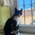 SEVGİ YUMAĞI KIZA YUVA fotoğraf