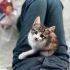 Bulunduğu Bölgede Tehlikede! fotoğraf