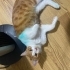 4 kardeşe acil yuva fotoğraf