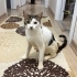 MİNNOŞUMUZ SOKAĞA DÖNMEMELİ fotoğraf
