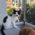 Gerçekten bakabilicek bir yuva ariyoruz fotoğraf