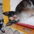 Çok acil yuva miniklere. fotoğraf