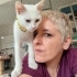 Sağır kedi Yuki fotoğraf