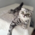 AÇIKLAMAYI OKUYUNUZ LÜTFEN fotoğraf