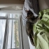 KISIR UYSAL SEVECEN EV KEDİSİ fotoğraf