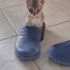 Engelli, gözleri görmüyor sokakta yapamaz fotoğraf