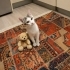 Minyon Prenses Wuducan fotoğraf