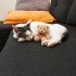 Minyon Prenses Wuducan fotoğraf