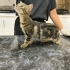 Siz Ona Merhametinizi Verin; O Size Sevgisini Versin fotoğraf