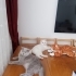 Kendini sevdirmeyi sever. fotoğraf