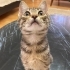 Acil kendini sevdiren cana yakın bebeğe yuva fotoğraf