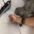 Acil Geçici Kalıcı Yuva Aranıyor fotoğraf
