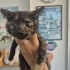 Zeyna kendisine evini ve kalbini açacak meleğini bekliyor fotoğraf