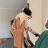 MUTSUZ YA DA YALNIZ DEĞİLSİNİZ, SİZİN KEDİNİZ YOK! fotoğraf