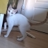 Çok sosyalim kapalı kapıları sevmem :P fotoğraf