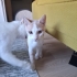 Çok sosyalim kapalı kapıları sevmem :P fotoğraf