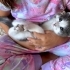 Yuva Arayan Minik Boncuk 🐾 fotoğraf