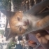 Misket sokakta kalmasın yuvası olmak ister misiniz🐾 fotoğraf