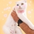 Ücretsiz sahiplenme British kedi fotoğraf
