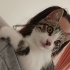 Pembe patili minik haylaz fotoğraf