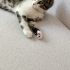 Pembe patili minik haylaz fotoğraf