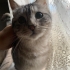 Tatlı oğlumuz Dumana ömürlük yuva fotoğraf